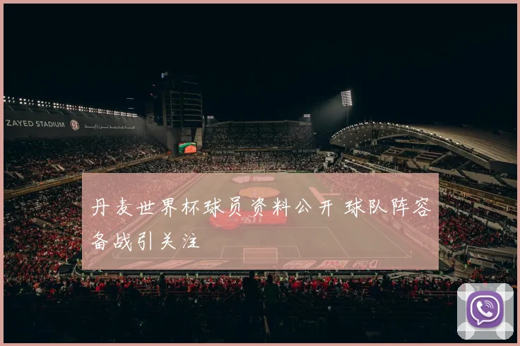 丹麦世界杯球员资料公开 球队阵容备战引关注