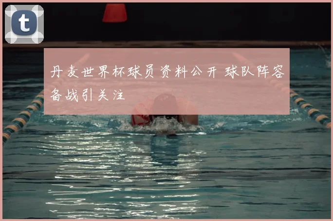 丹麦世界杯球员资料公开 球队阵容备战引关注