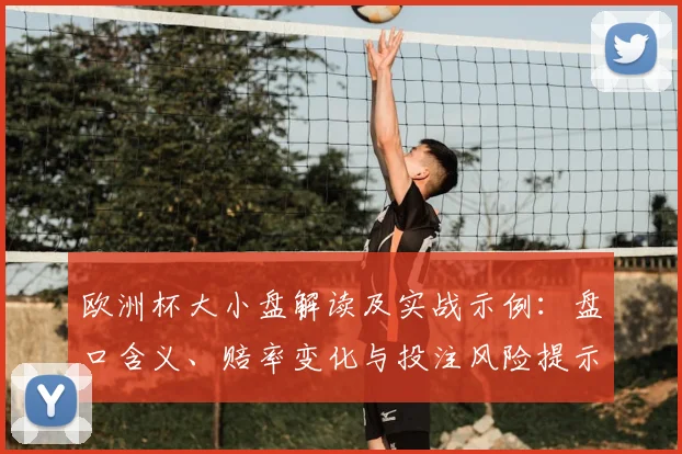 欧洲杯大小盘解读及实战示例:盘口含义、赔率变化与投注风险提示
