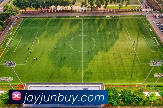 奇异果工作室官网品牌故事