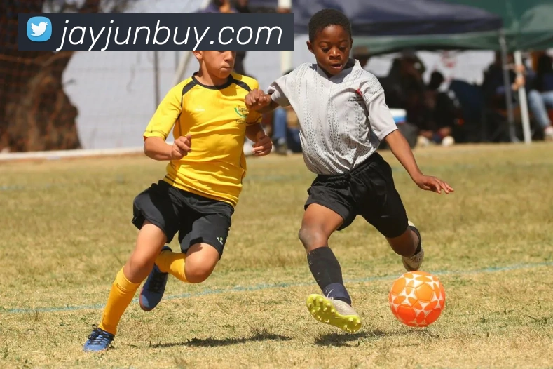 奇异果工作室官网服务体系